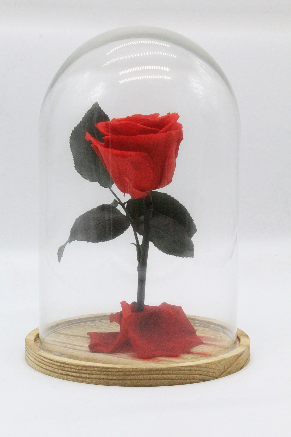 For ever Roses κόκκινο σε γυάλινη καμπάνα μεγάλη - Natasa Flowers